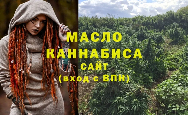 дмт Алексин